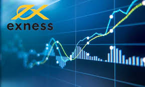 Comprehensive Guide to Exness Trading Platform 12 Comprehensive Guide to Exness Trading Platform 12