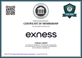 Comprehensive Review of Forex Trading www exness com review Comprehensive Review of Forex Trading www exness com review